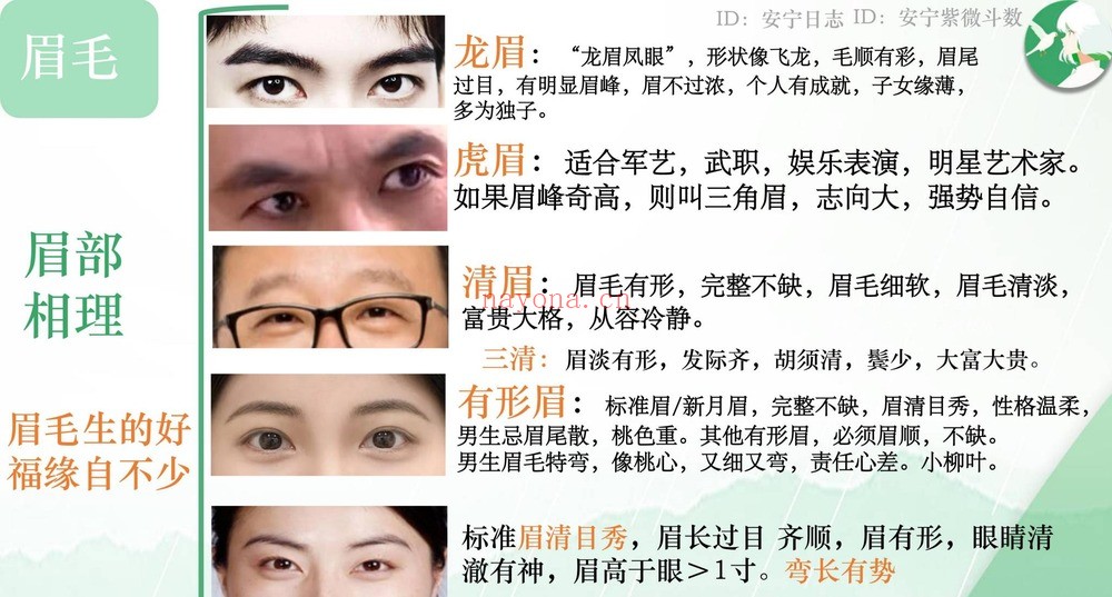 安宁日志《面相美学》19集视频