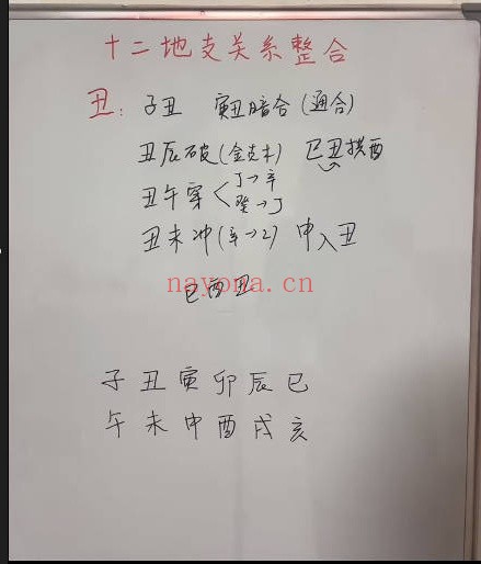 元巳八字基础课60节视频 八字入门