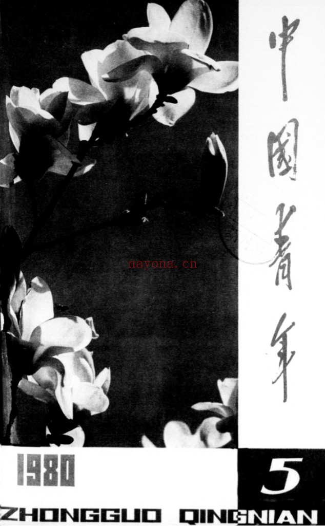 中国青年杂志(1948-1993)共606期 PDF电子版 百度网盘