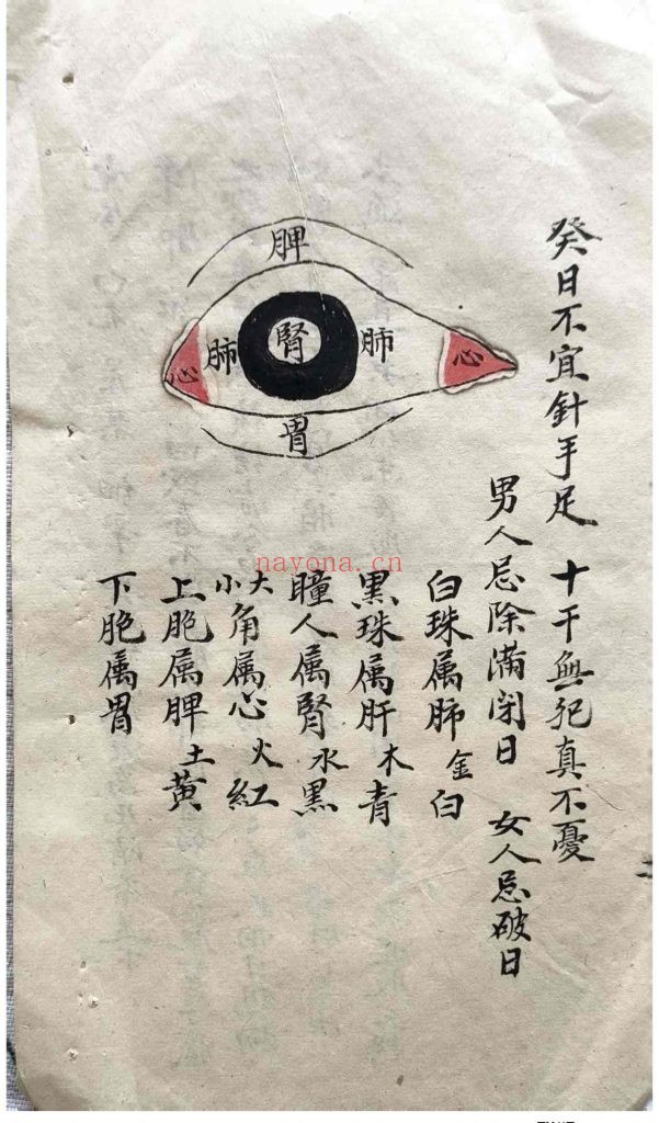 《眼有七十二问医有个别眼病虚实冷热论》10