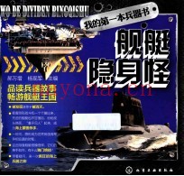 我的第一本兵器书  舰艇隐身怪