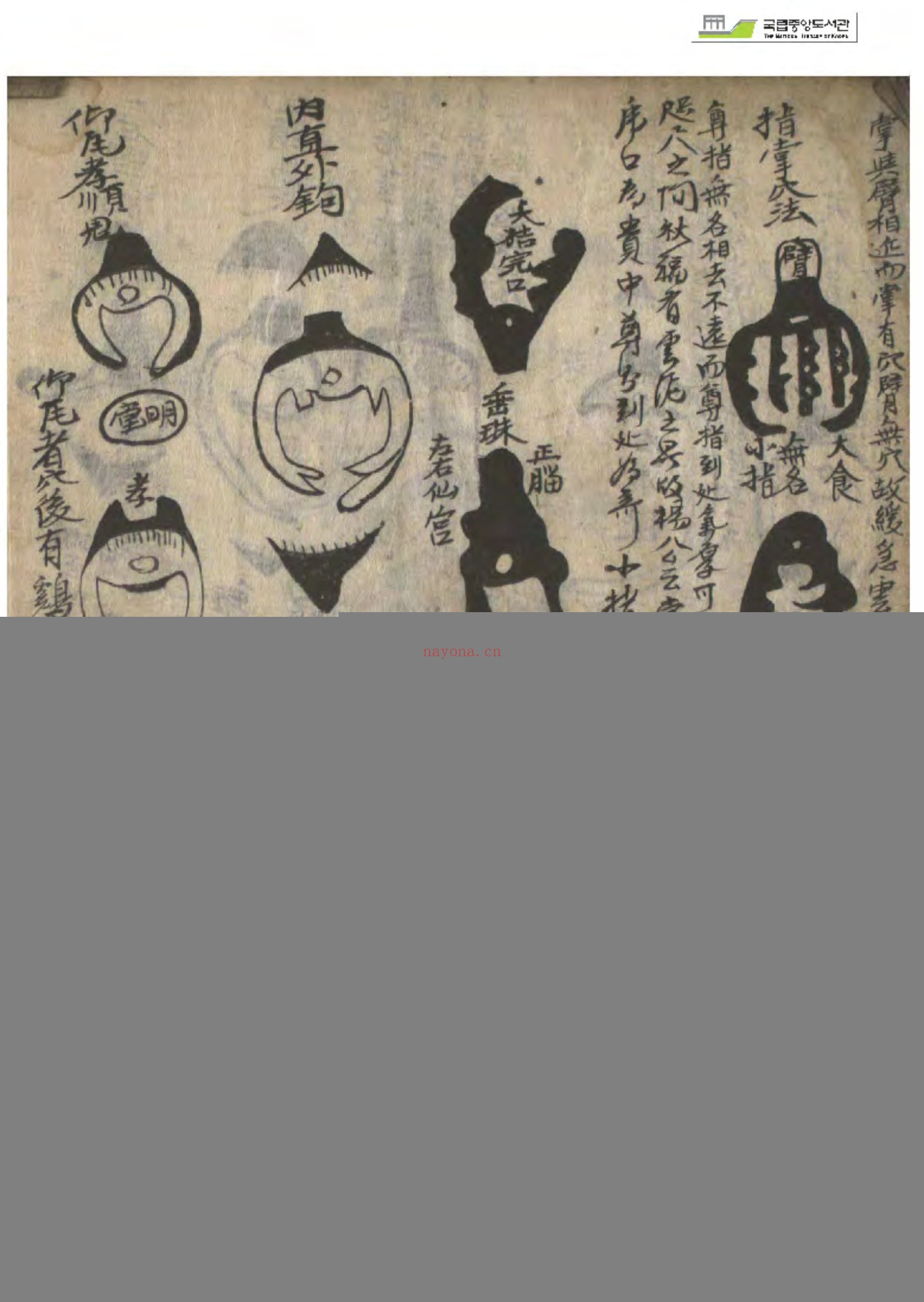 玉精经