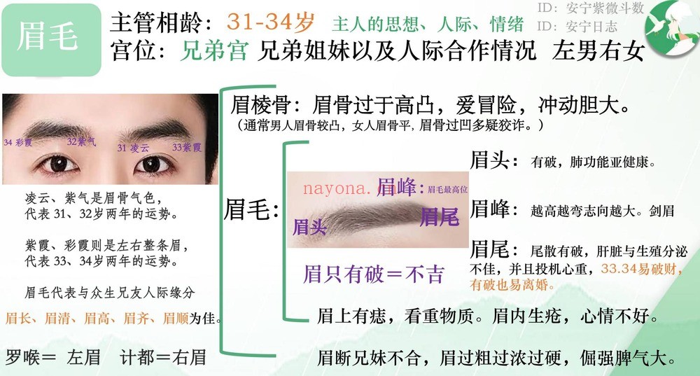 安宁日志《面相美学》19集视频