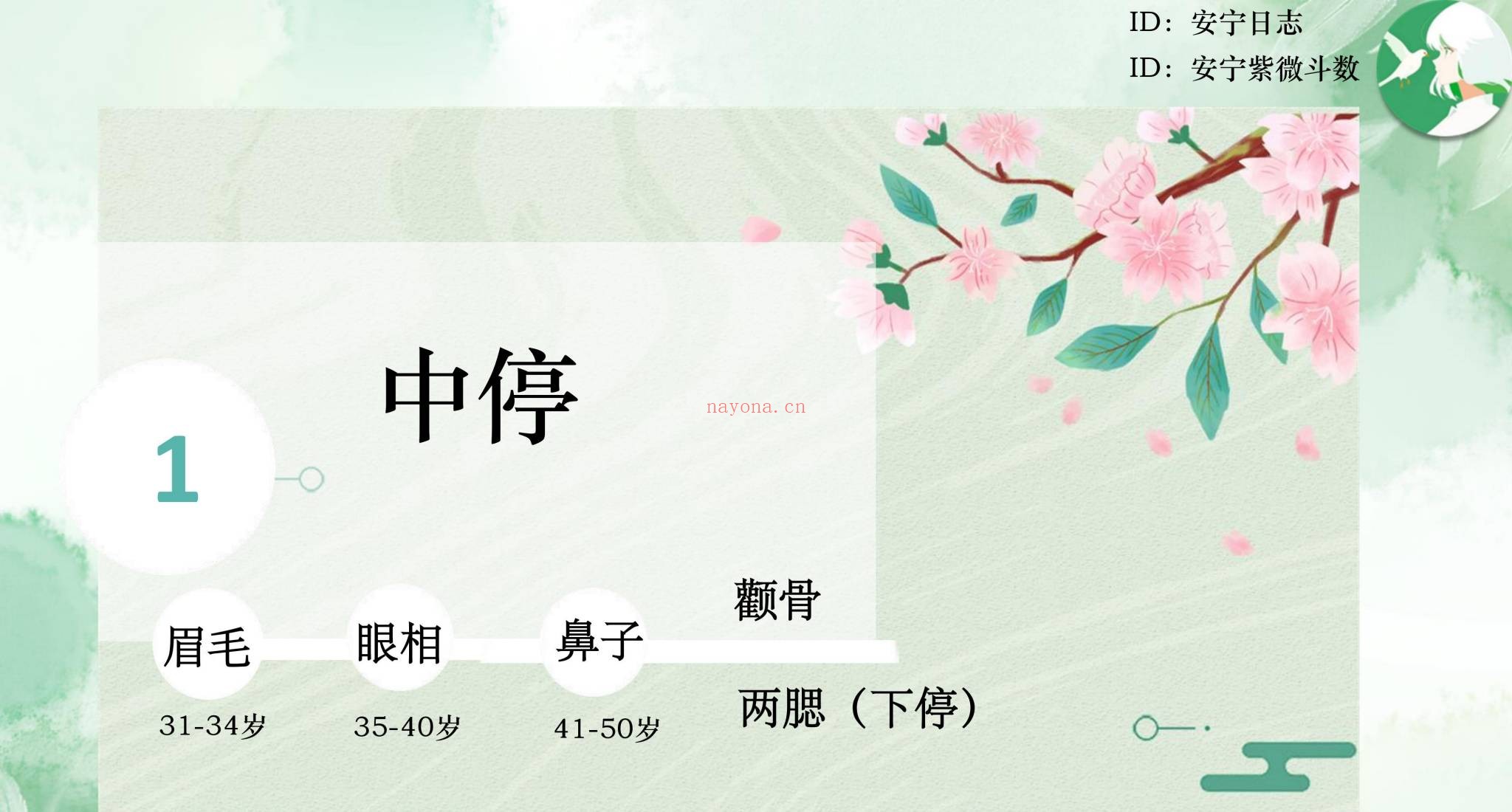 安宁日志《面相美学》19集视频