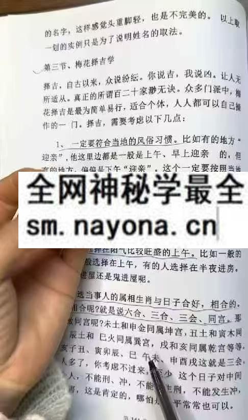 隽宁老师 梅花视频课程 89集