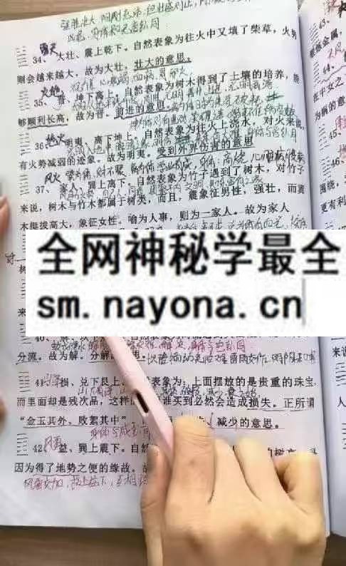隽宁老师 梅花视频课程 89集