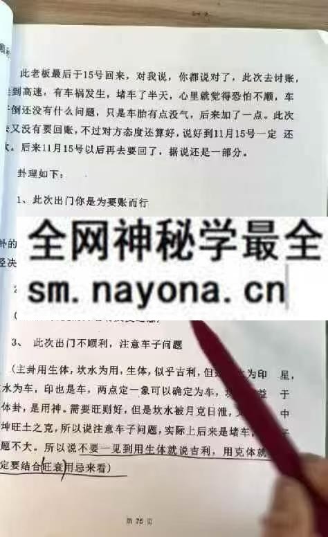 隽宁老师 梅花视频课程 89集
