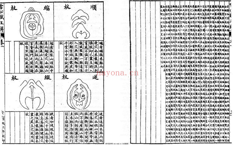古籍抄本《雪心赋辨讹正解》PDF电子书（41页）
