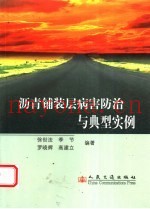 沥青铺装层病害防治与典型实例