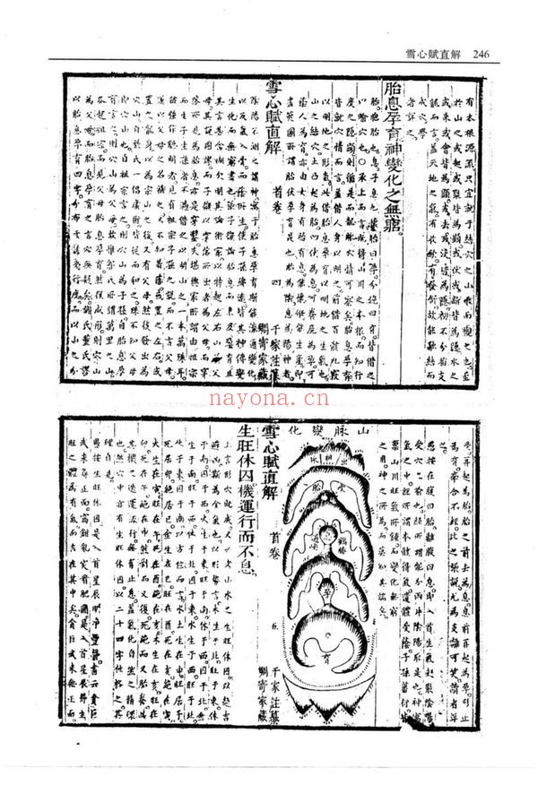 《雪心赋直解》PDF电子书（97页）