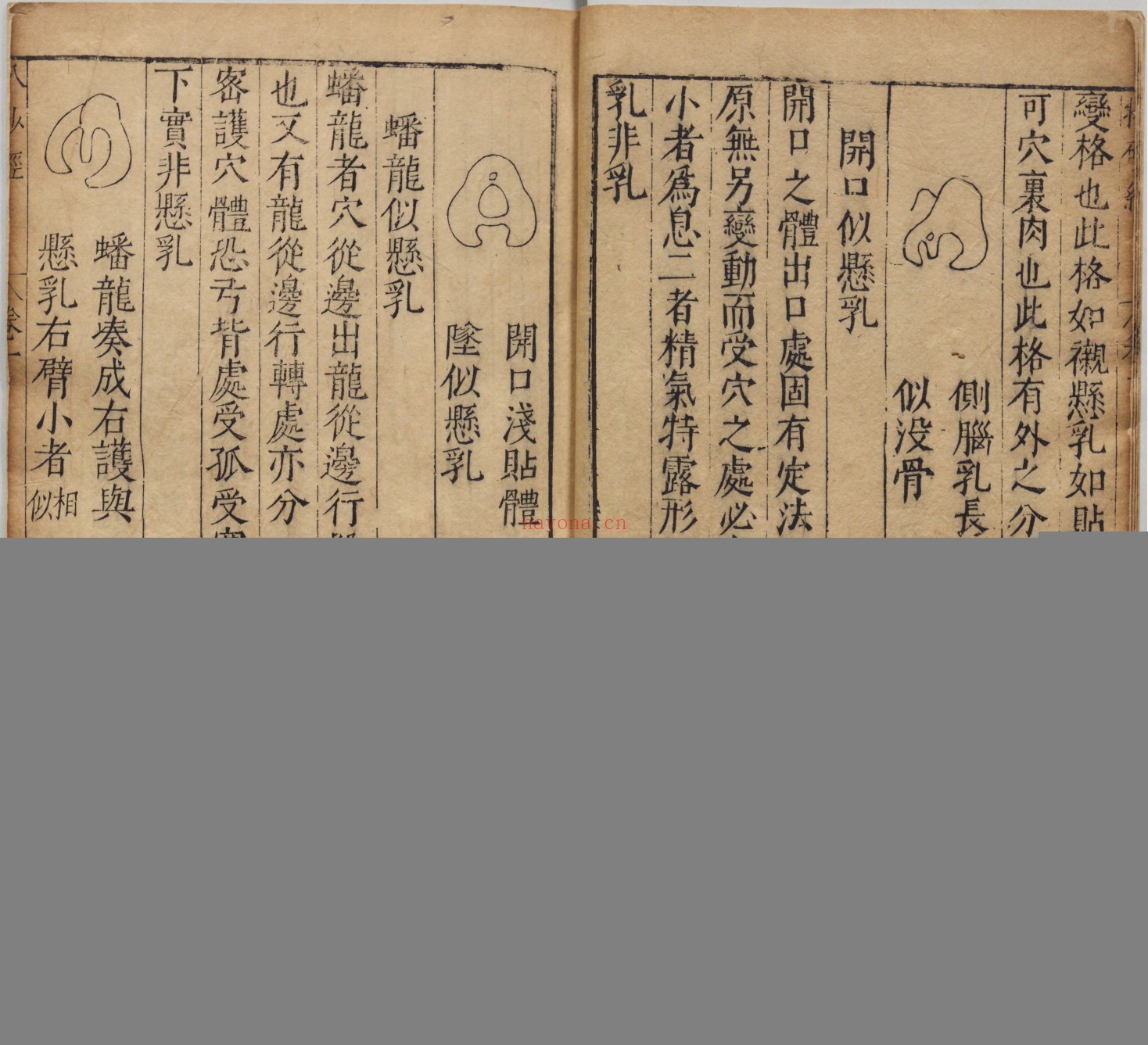金精廖公秘授地学心法正传画筴扒砂经.四卷