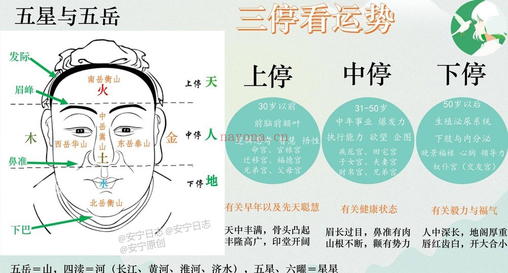 安宁日志《面相美学》19集视频