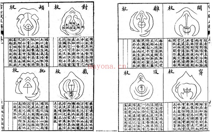 古籍抄本《雪心赋辨讹正解》PDF电子书(41页)