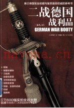 二战风云 6 二战德国战利品