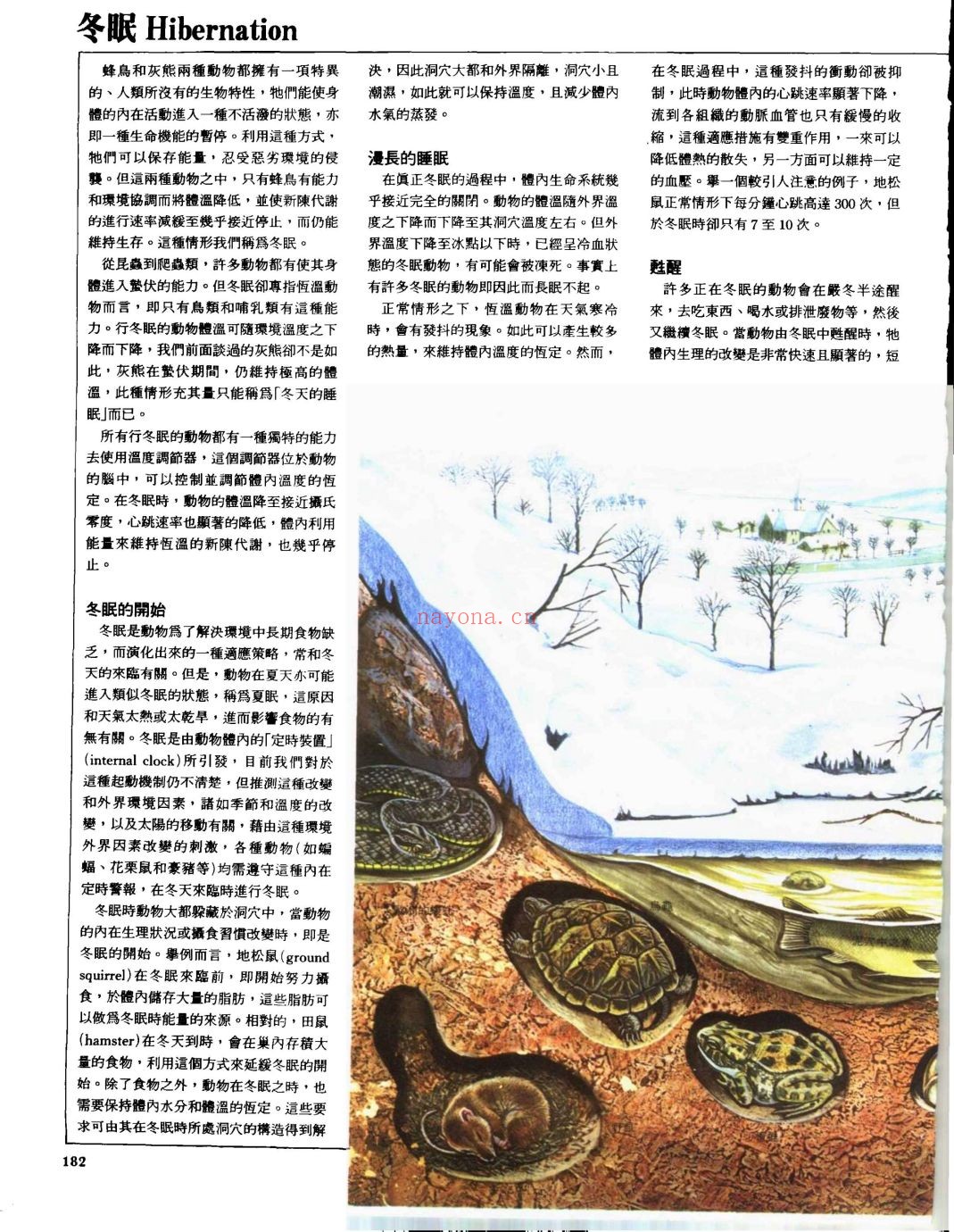 大英科技百科全书