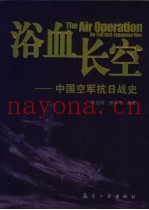 浴血长空 中国空军抗日战史