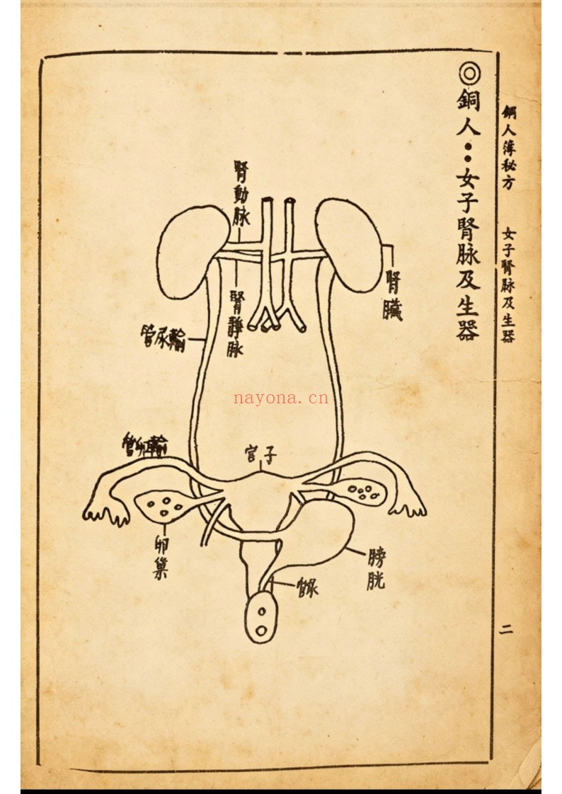 铜人簿秘方
