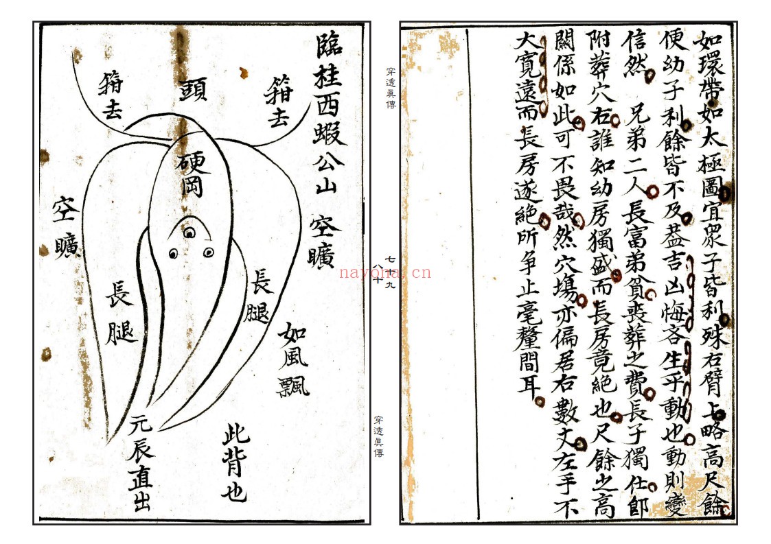 穿透真传