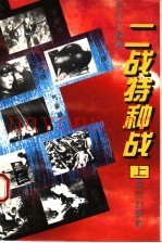 二战特种战  上