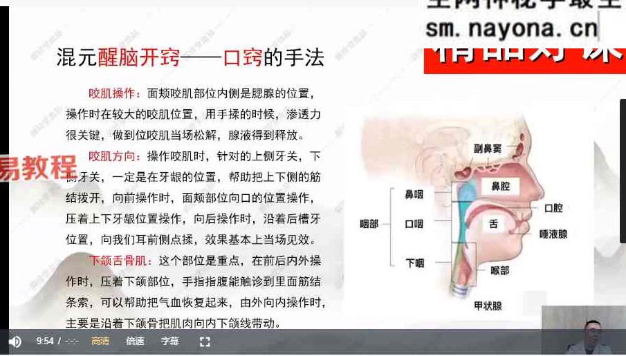 道家醒脑开窍术-梁振华【9集】视频