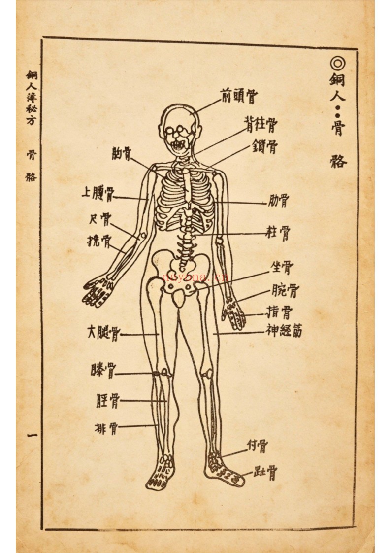 铜人簿秘方