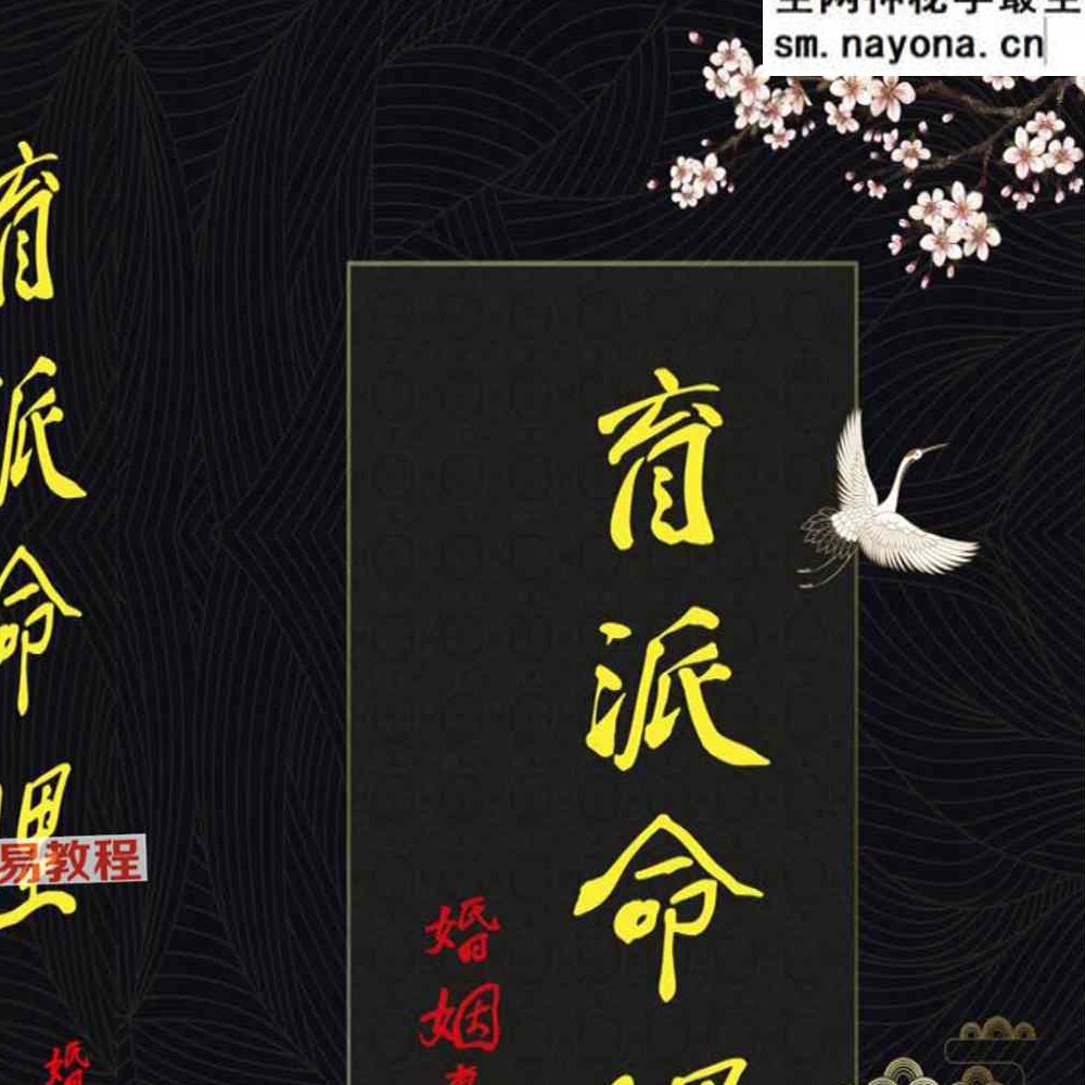 《盲派婚姻专辑》.pdf 228页