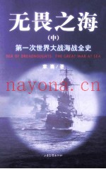 无畏之海 第一次世界大战全史 中