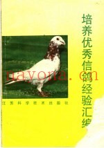 培养优秀信鸽经验汇编