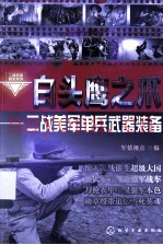 白头鹰之爪  二战美军单兵武器装备