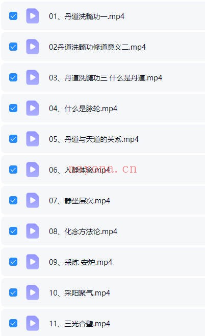 紫觉丹道洗髓功体系课含带练22节视频 道家功法