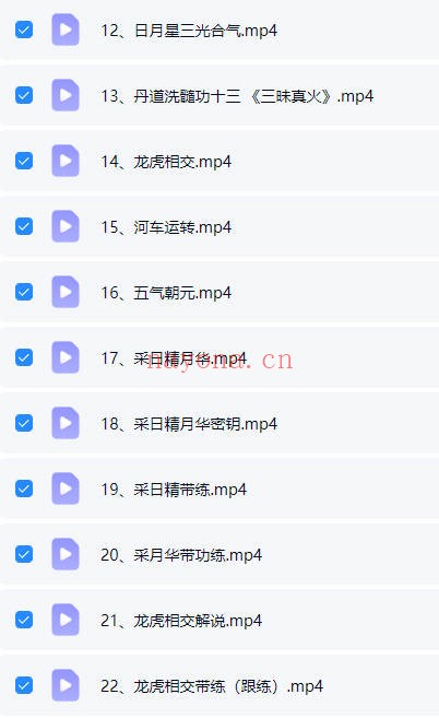 紫觉丹道洗髓功体系课含带练22节视频 道家功法