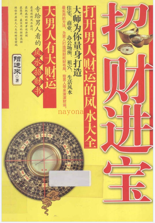 阳运来招财进宝打开男人财运的风水大全287页PDF