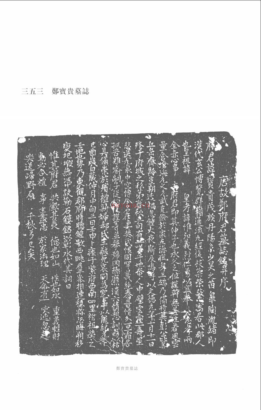 西安碑林博物馆新藏墓志汇编