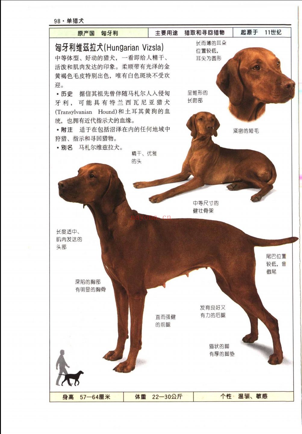 自然珍藏图鉴丛书