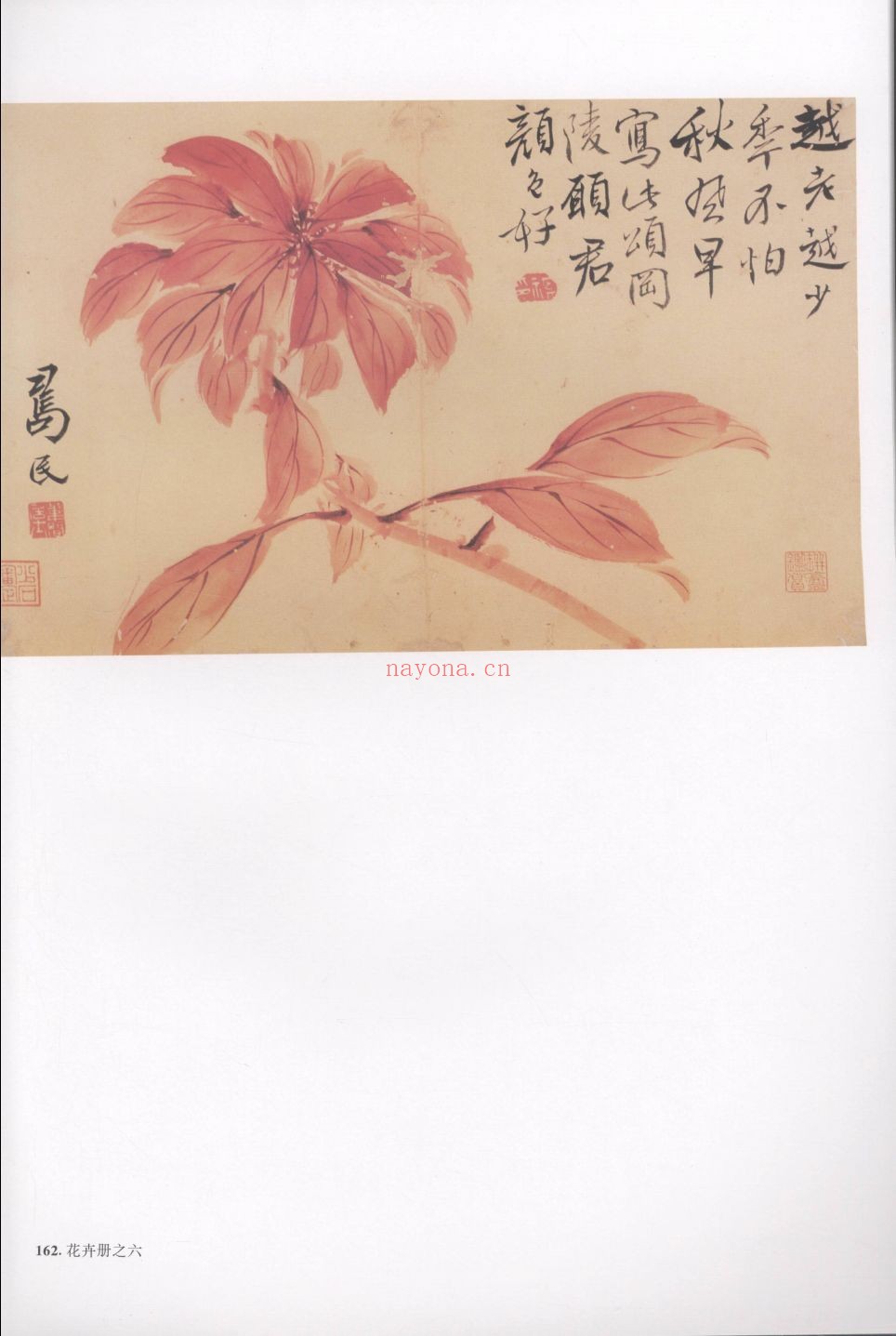 扬州画派书画全集