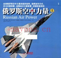 俄罗斯空中力量 1