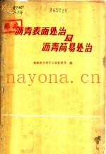 沥青表面处治及沥青简易处治  长潭公路沥青路面工程技术总结