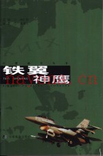 铁翼神鹰