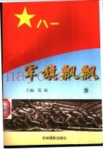 军旗飘飘 9