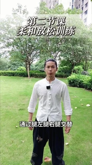 《功夫推拿全套手法》视频12集