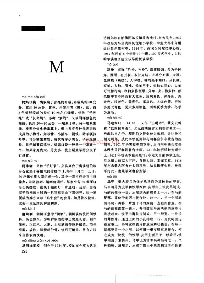 中国少数民族文化大辞典