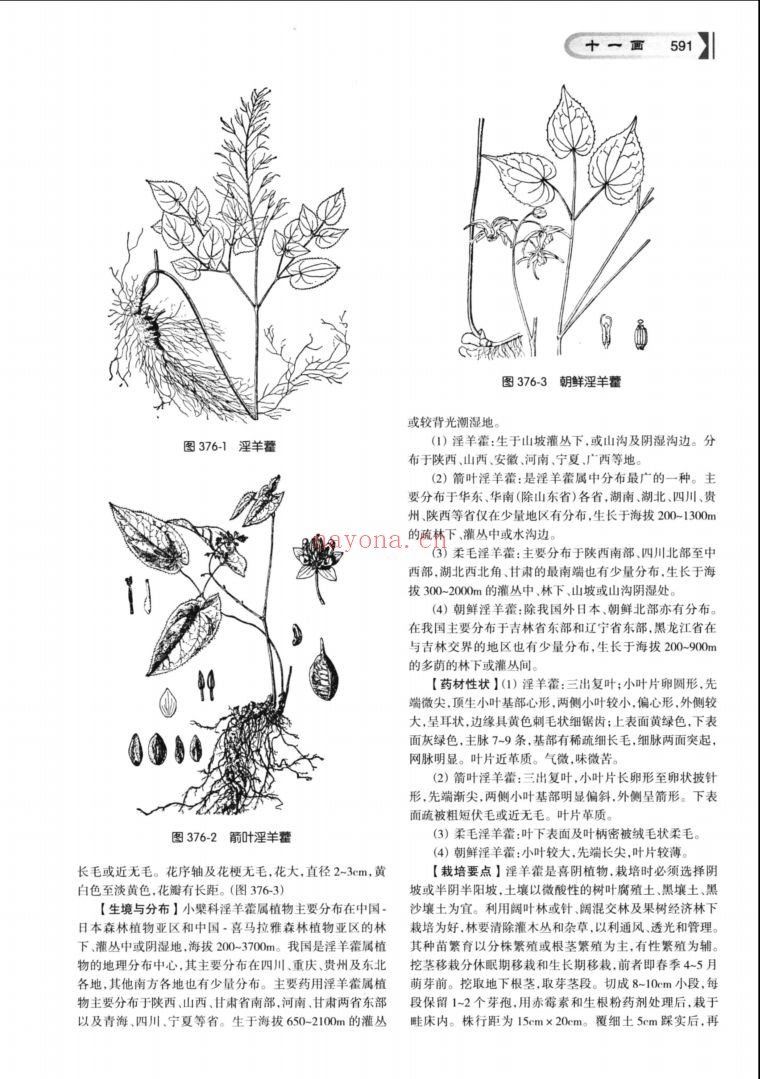 全国中草药汇编