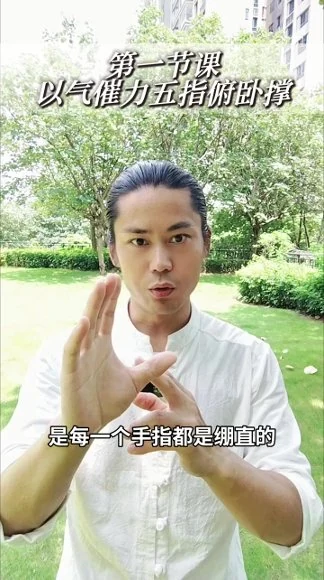 《功夫推拿全套手法》视频12集