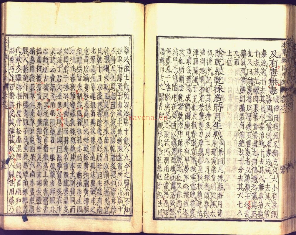 东邦大学（额田文库）部分
