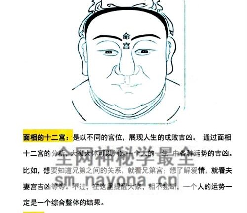 C395贾继茂盛-神相秘传-1《麻衣神相秘传讲义笔记》PDF电子书352页