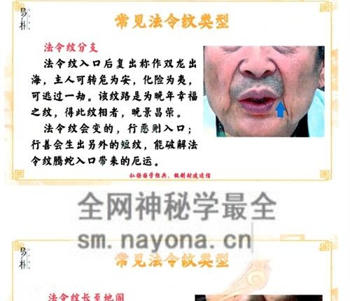 C394贾继茂盛-麻衣神相-1《四艺通玄高阶面相篇、高阶讲义、笔记》PDF电子书444页