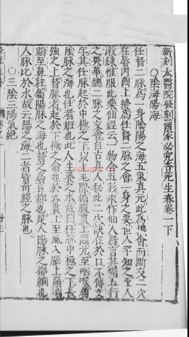杏苑生春