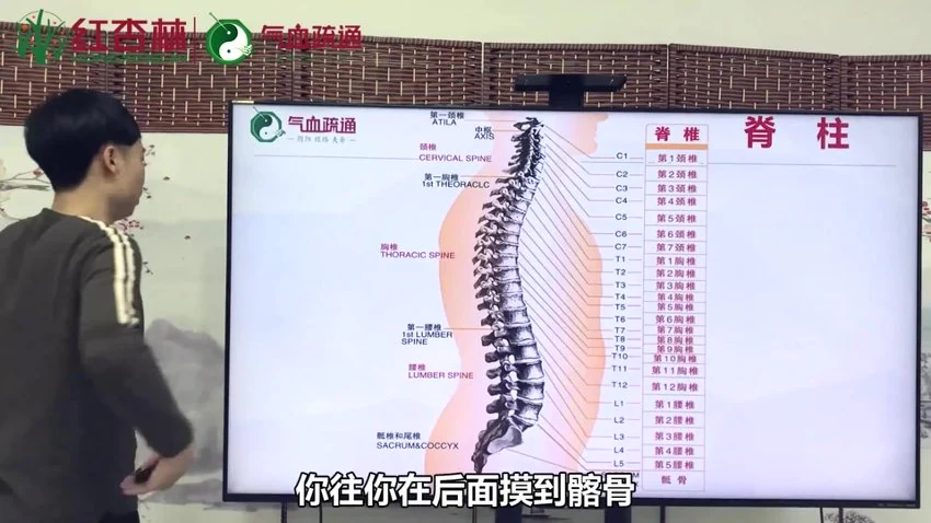 李正坤《中医气血疏通疗法初中高级班教程视频全集中指足底循环教学手针》初中高级合集