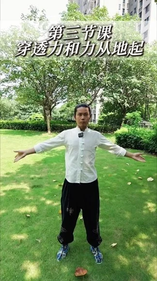 《功夫推拿全套手法》视频12集
