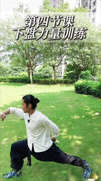 《功夫推拿全套手法》视频12集